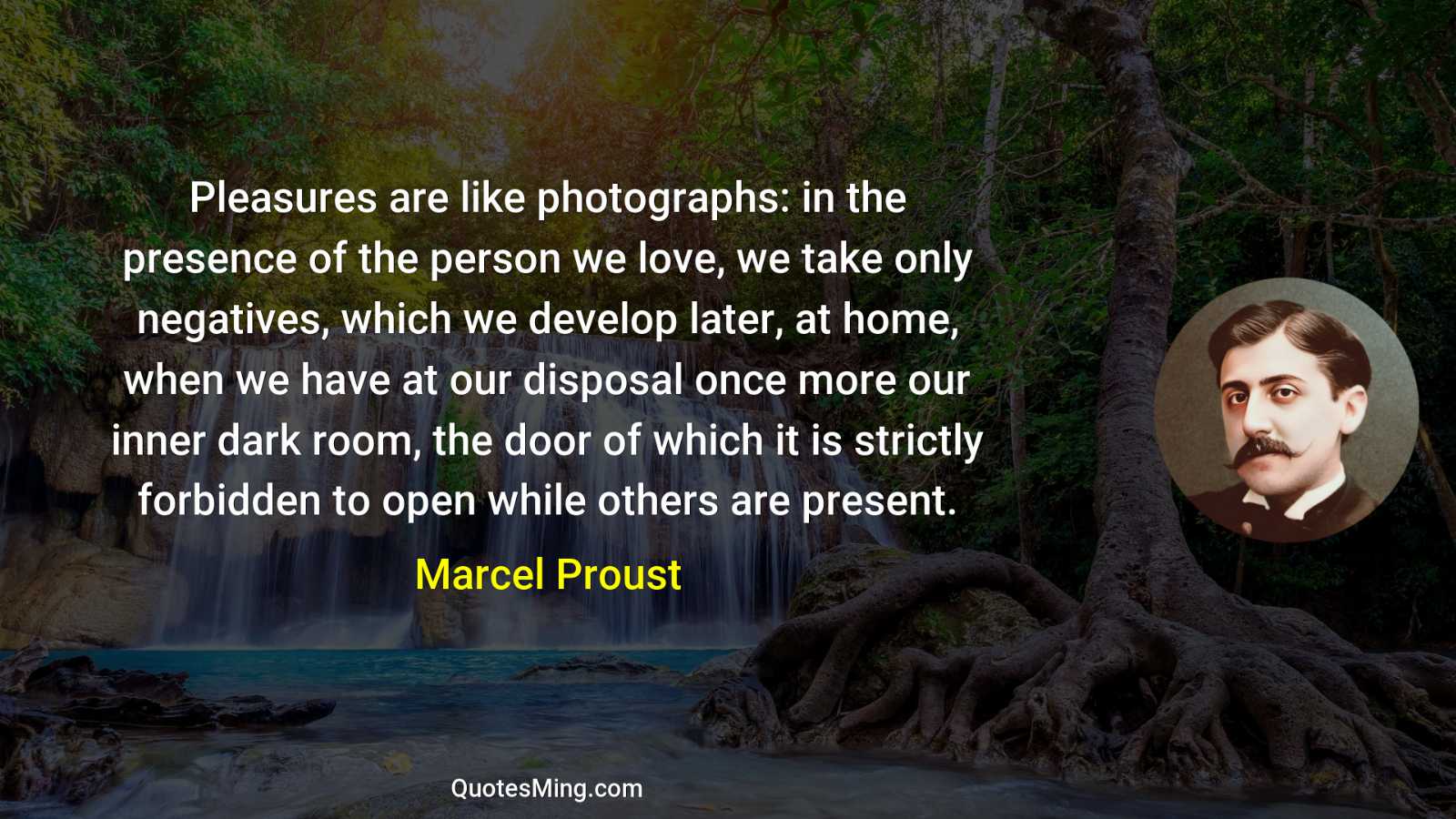 Pleasures are like photographs: in the presence of the person