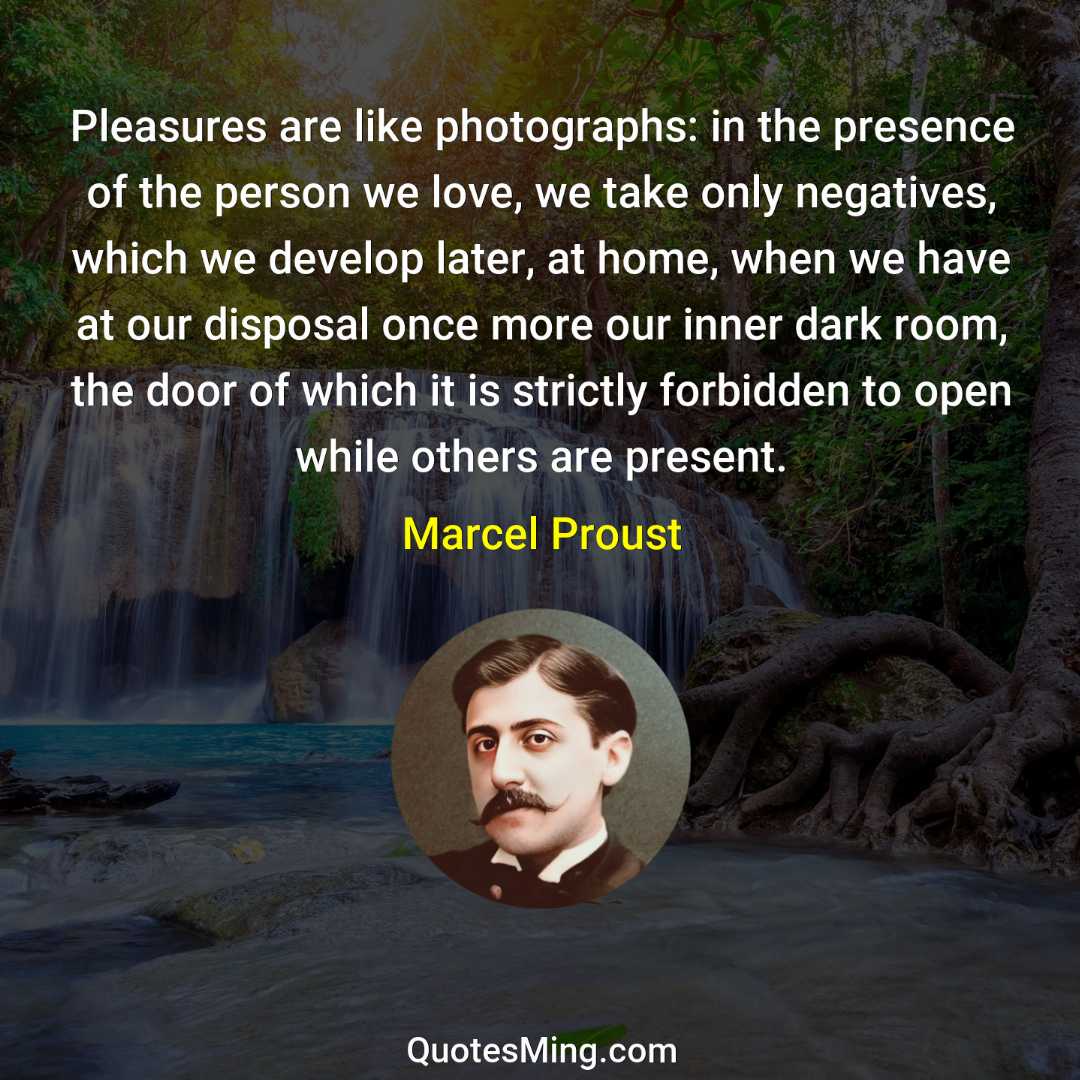 Pleasures are like photographs: in the presence of the person