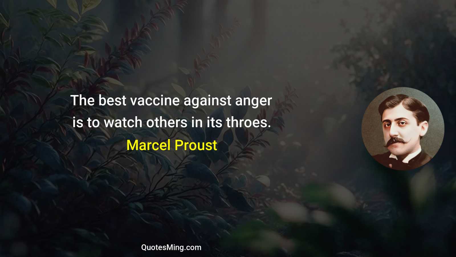 The best vaccine against anger is to watch others in