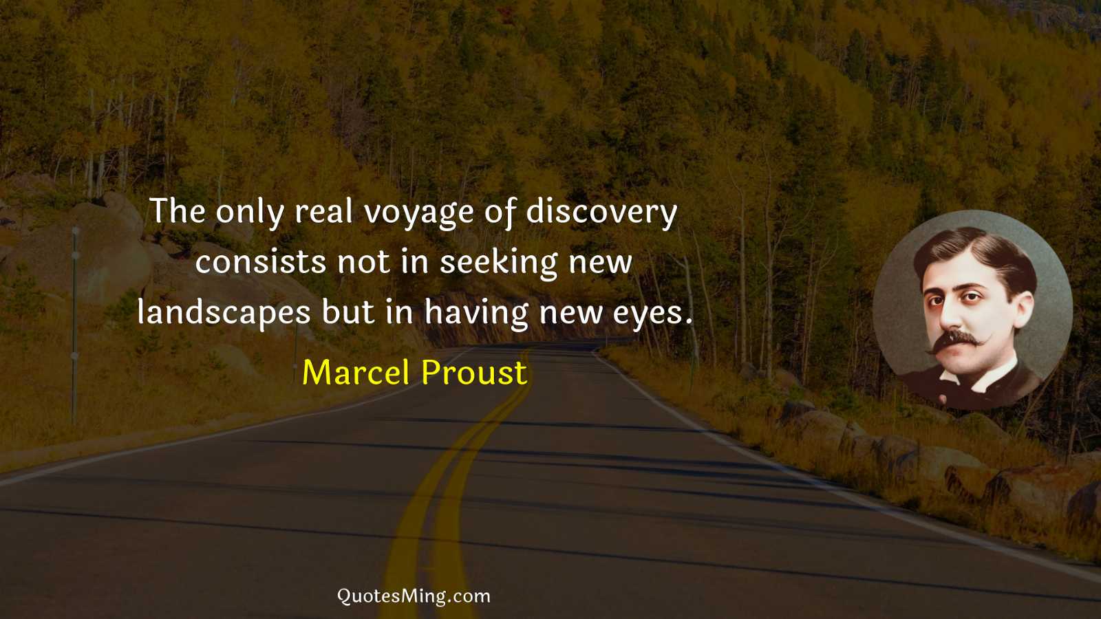 The only real voyage of discovery consists not in seeking