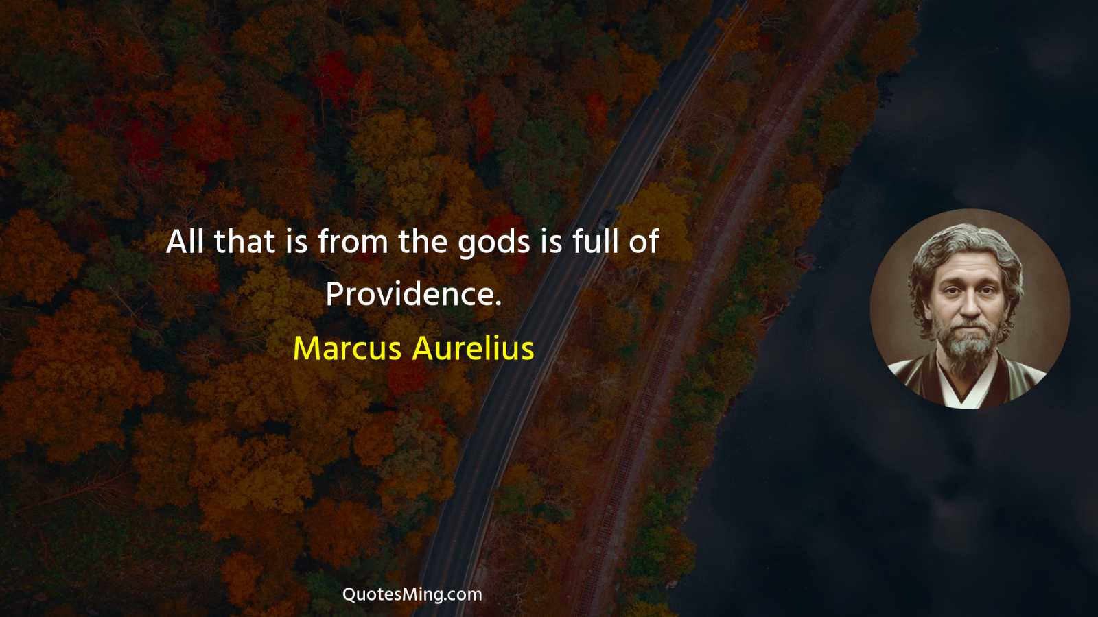 All that is from the gods is full of Providence