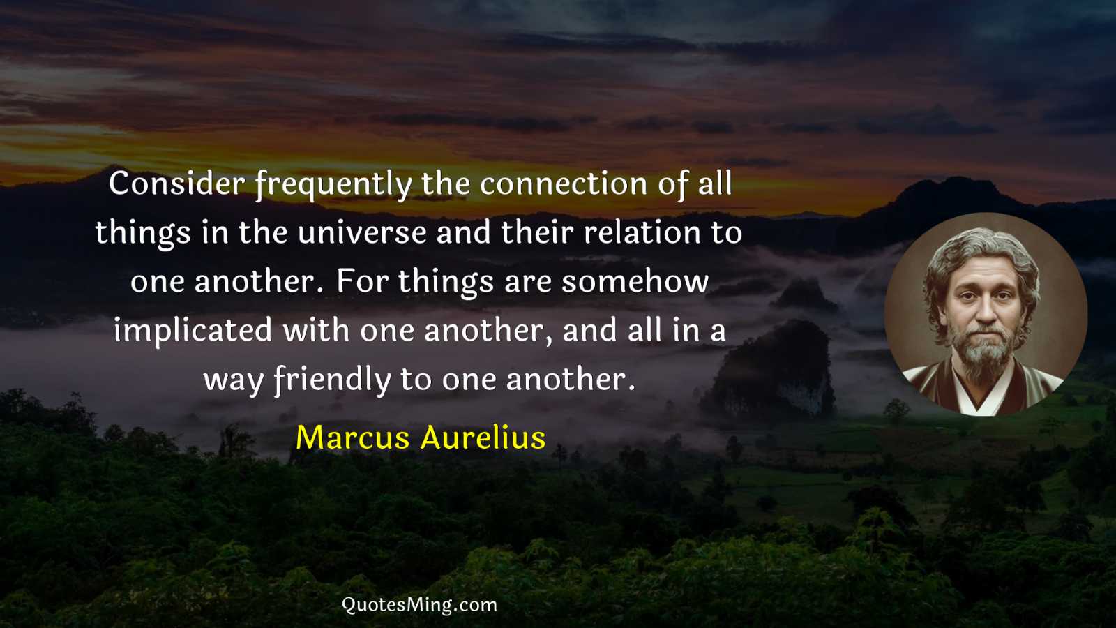 Consider frequently the connection of all things in the universe