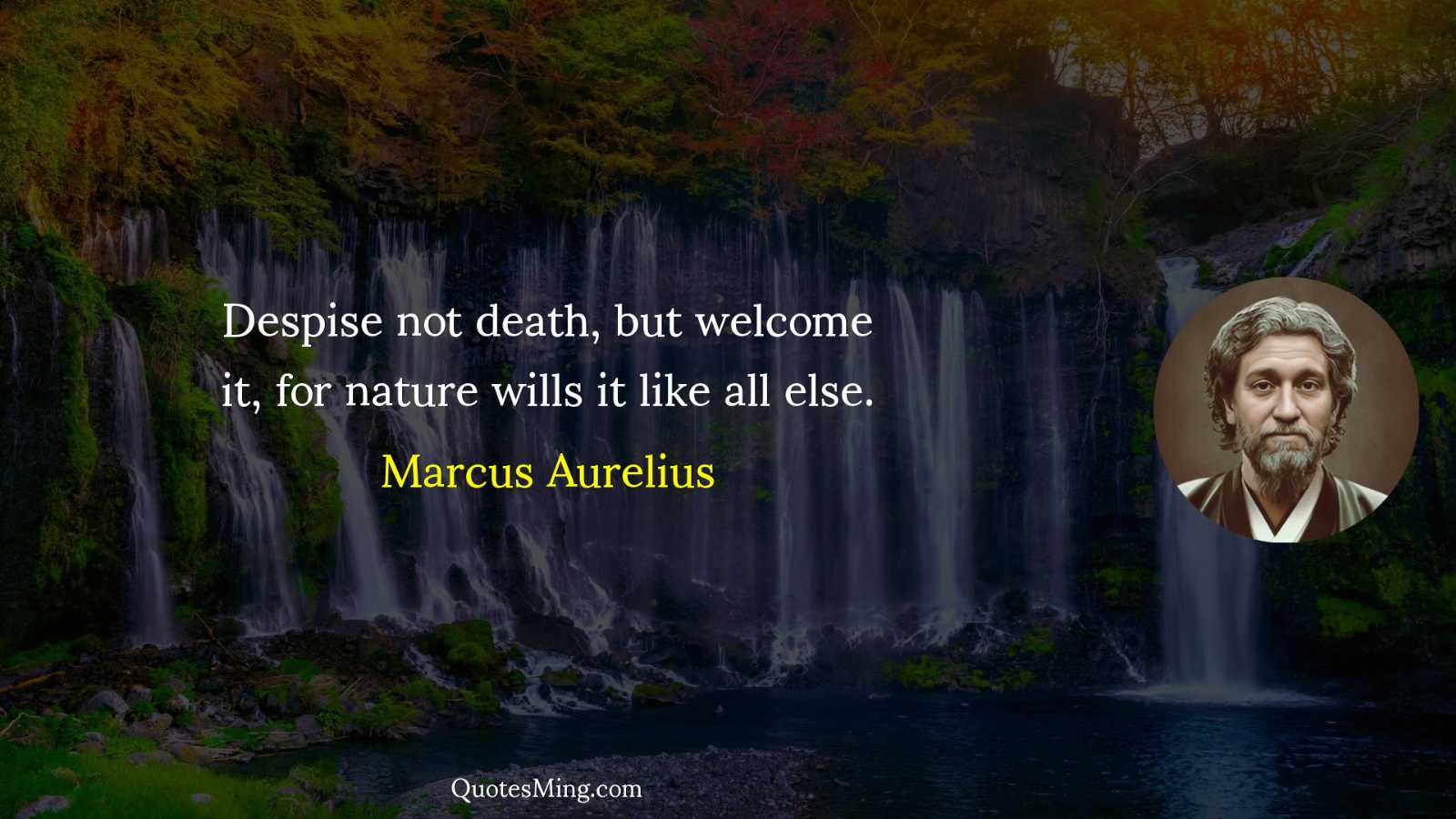 Despise not death but welcome it for nature wills it