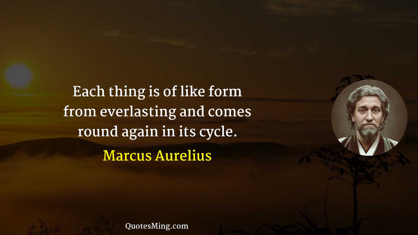 Each thing is of like form from everlasting and comes