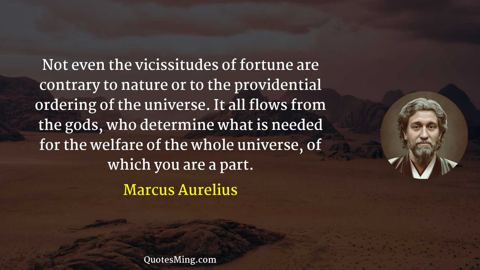 Not even the vicissitudes of fortune are contrary to nature