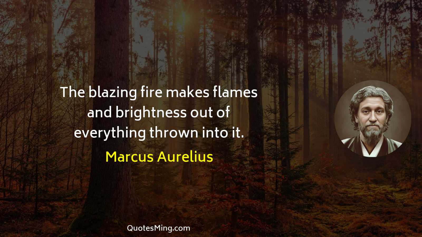 The blazing fire makes flames and brightness out of everything