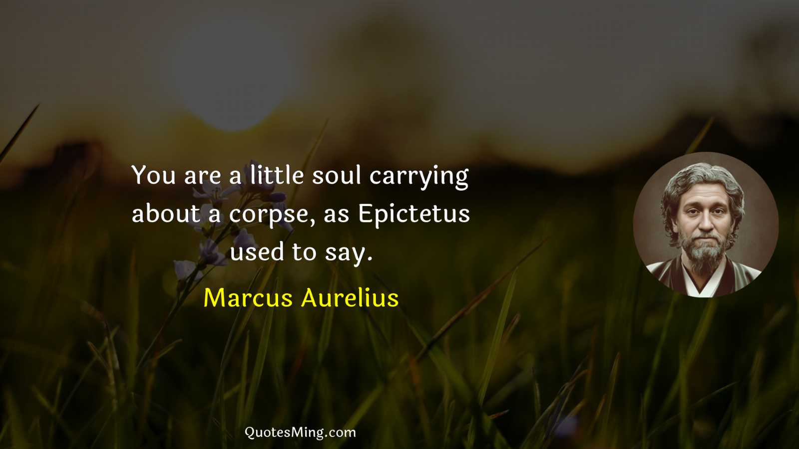 You are a little soul carrying about a corpse as