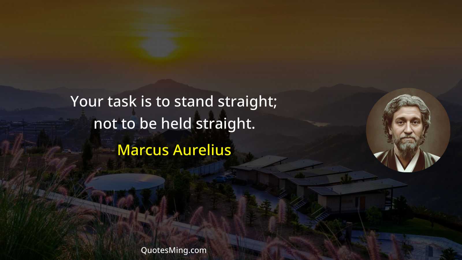 Your task is to stand straight; not to be held