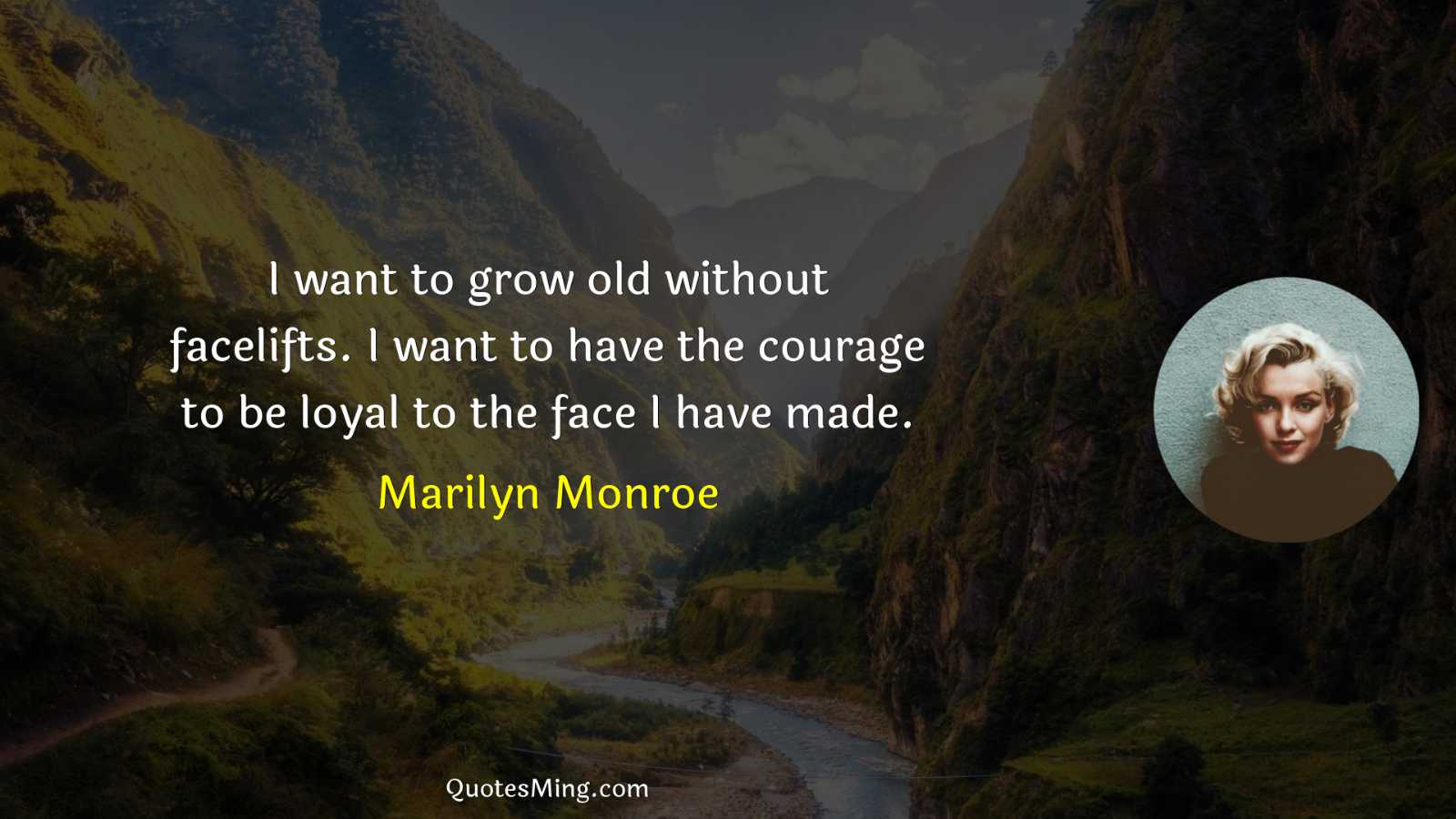 I want to grow old without facelifts I want to