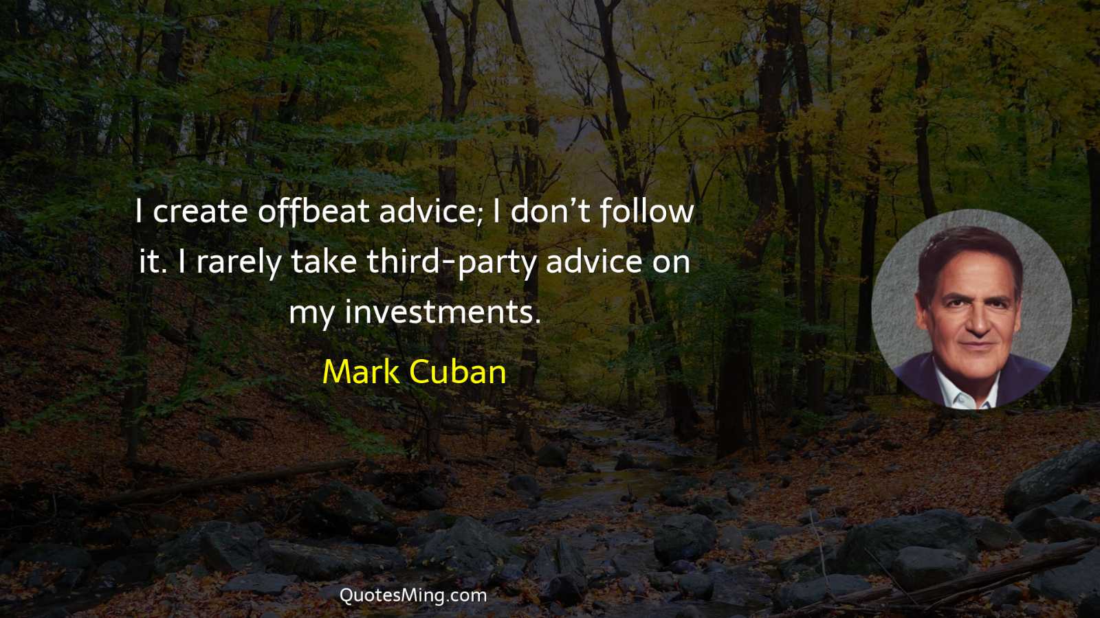 I create offbeat advice; I don’t follow it I rarely