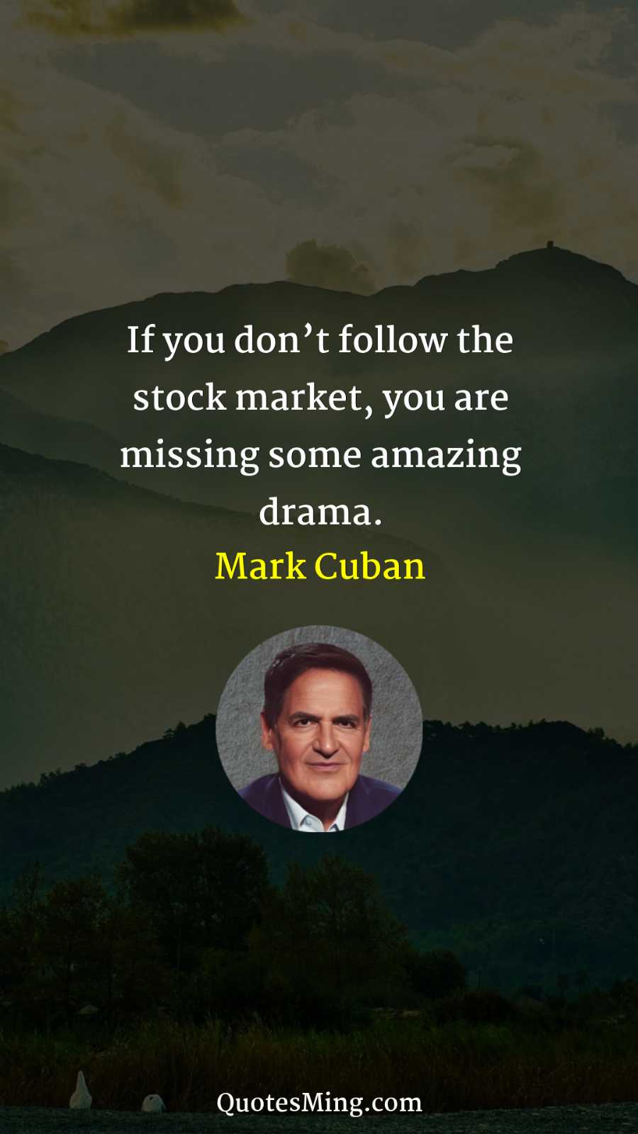 If you don’t follow the stock market you are missing