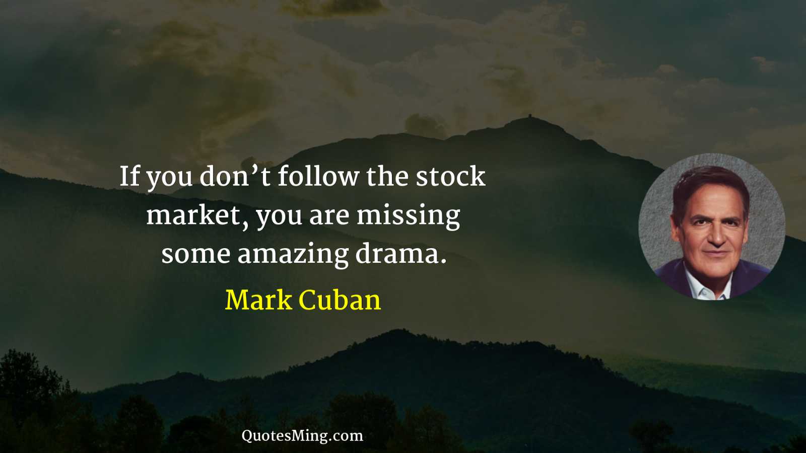 If you don’t follow the stock market you are missing