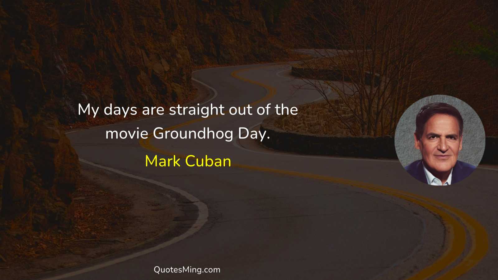 My days are straight out of the movie Groundhog Day