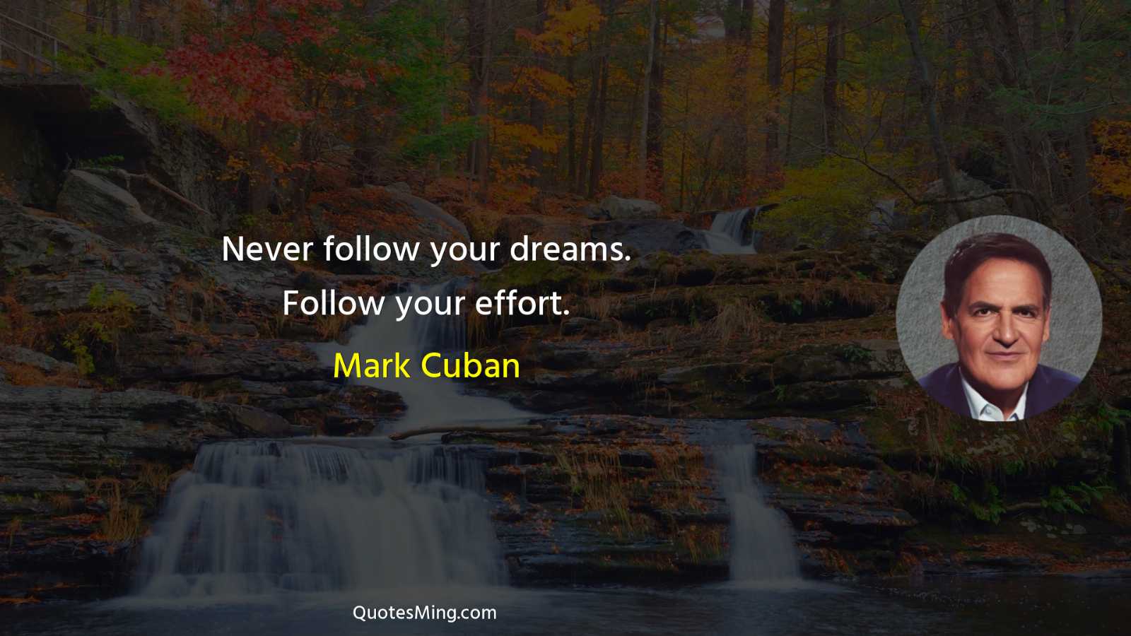 Never follow your dreams Follow your effort