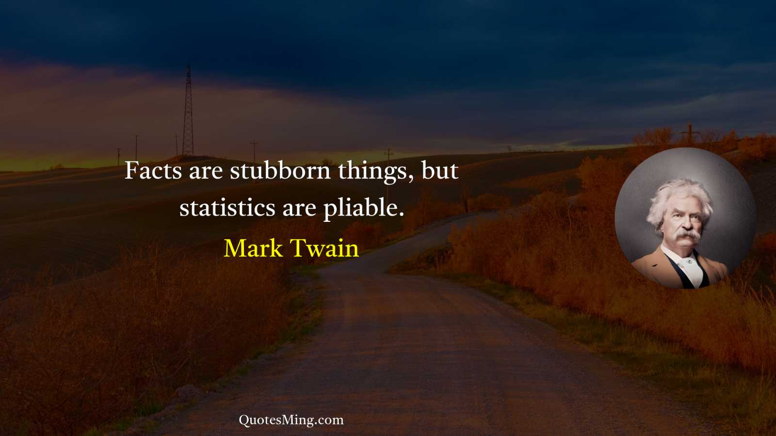 Facts are stubborn things but statistics are pliable