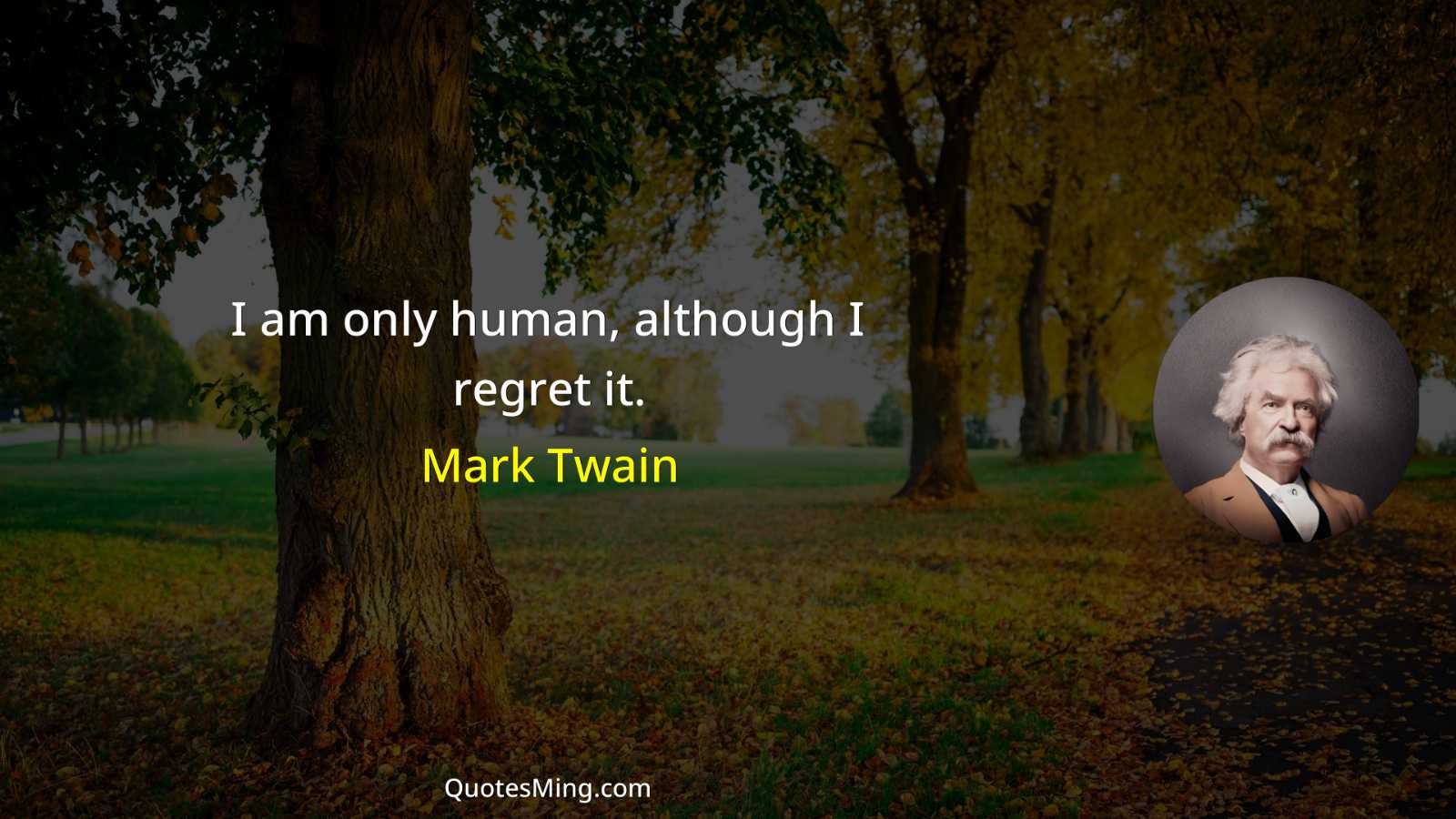 I am only human although I regret it