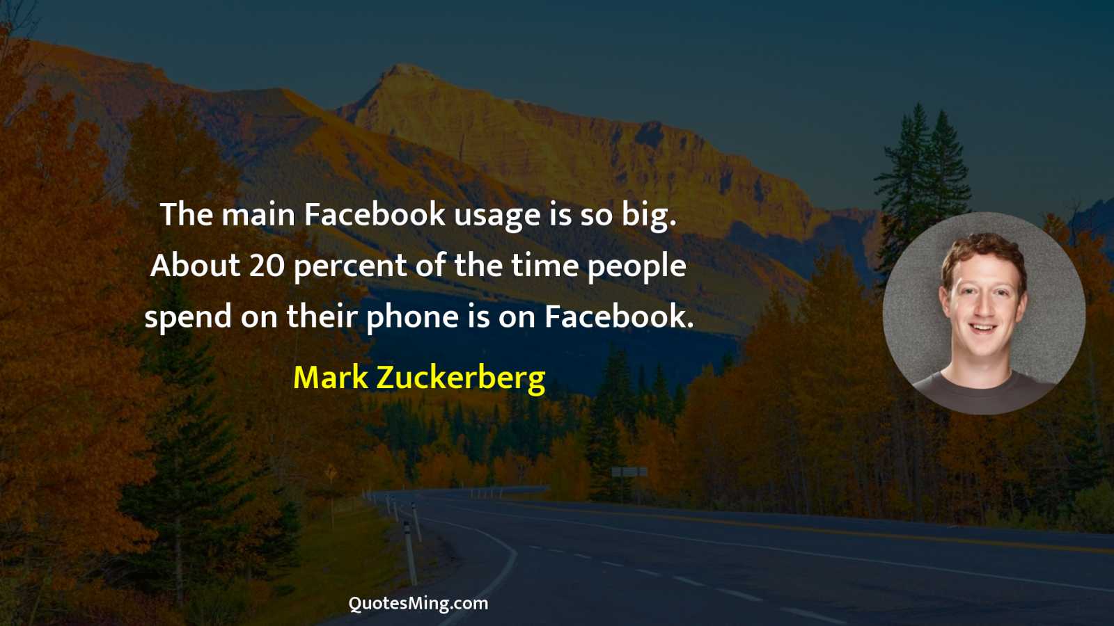 The main Facebook usage is so big About 20 percent