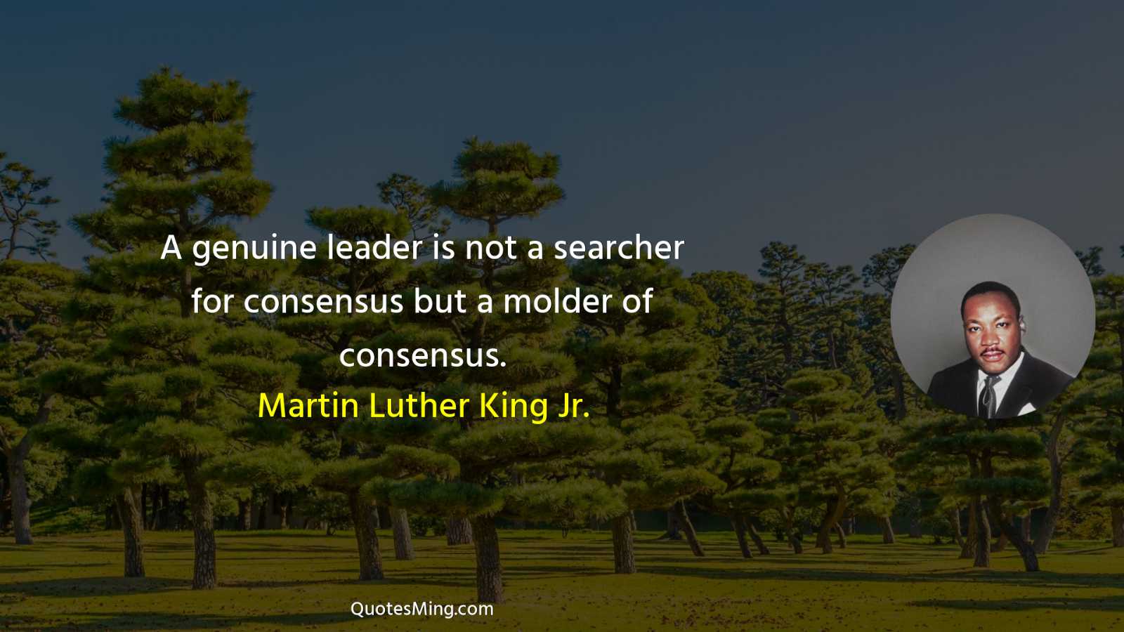 A genuine leader is not a searcher for consensus but