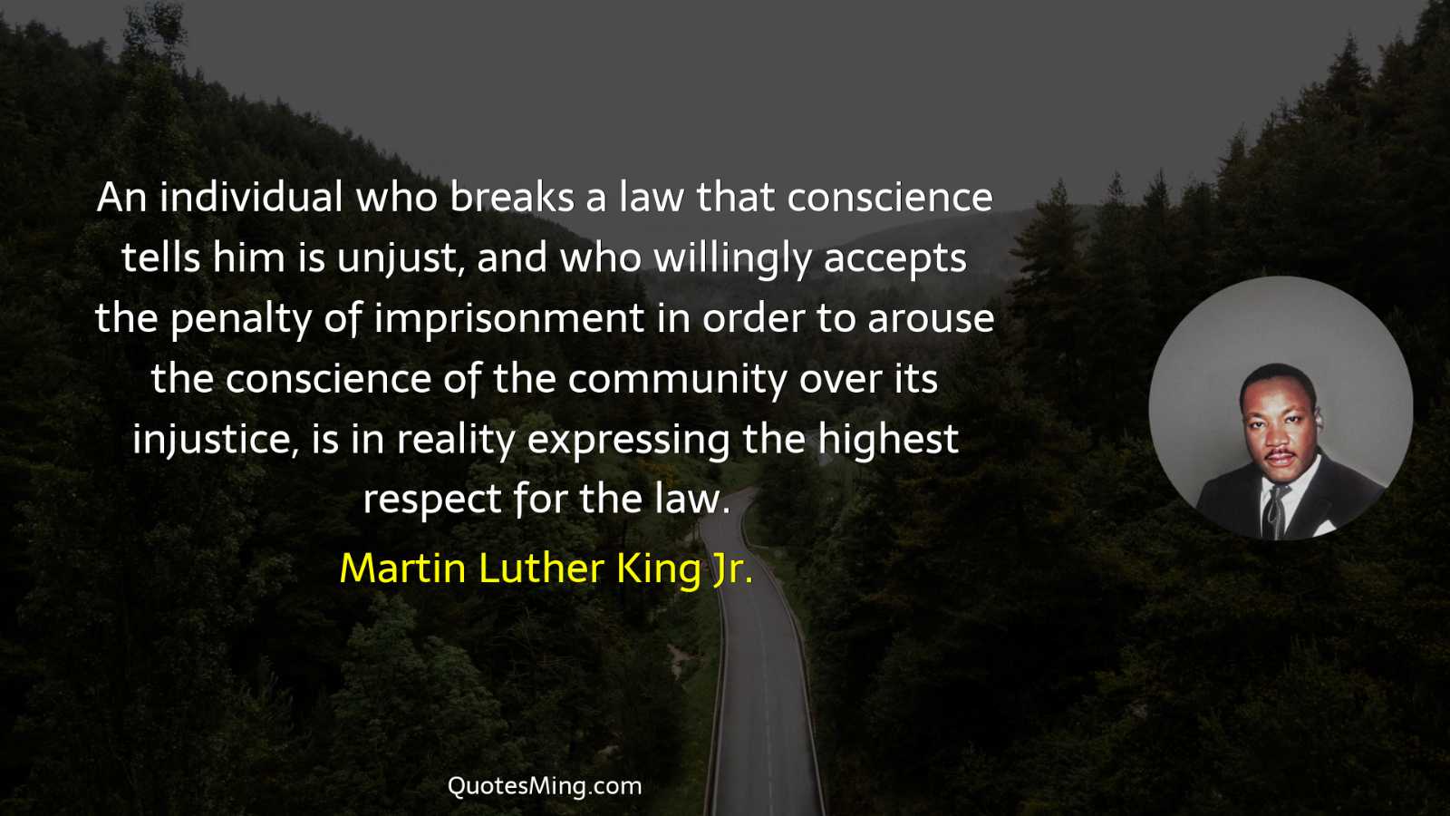 An individual who breaks a law that conscience tells him