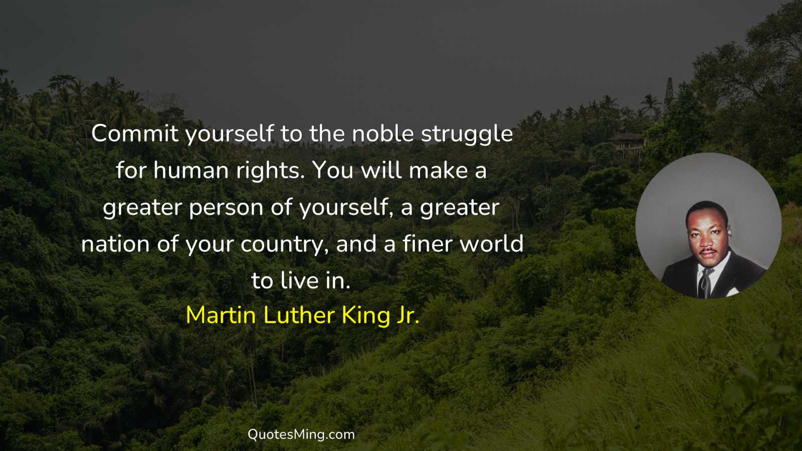 Commit yourself to the noble struggle for human rights You