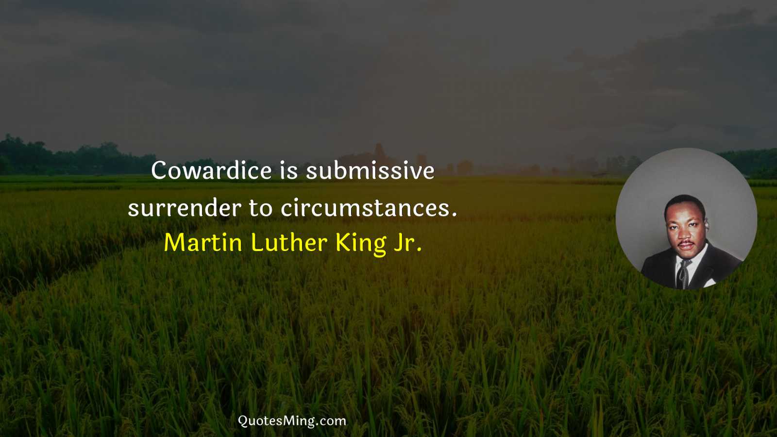 Cowardice is submissive surrender to circumstances