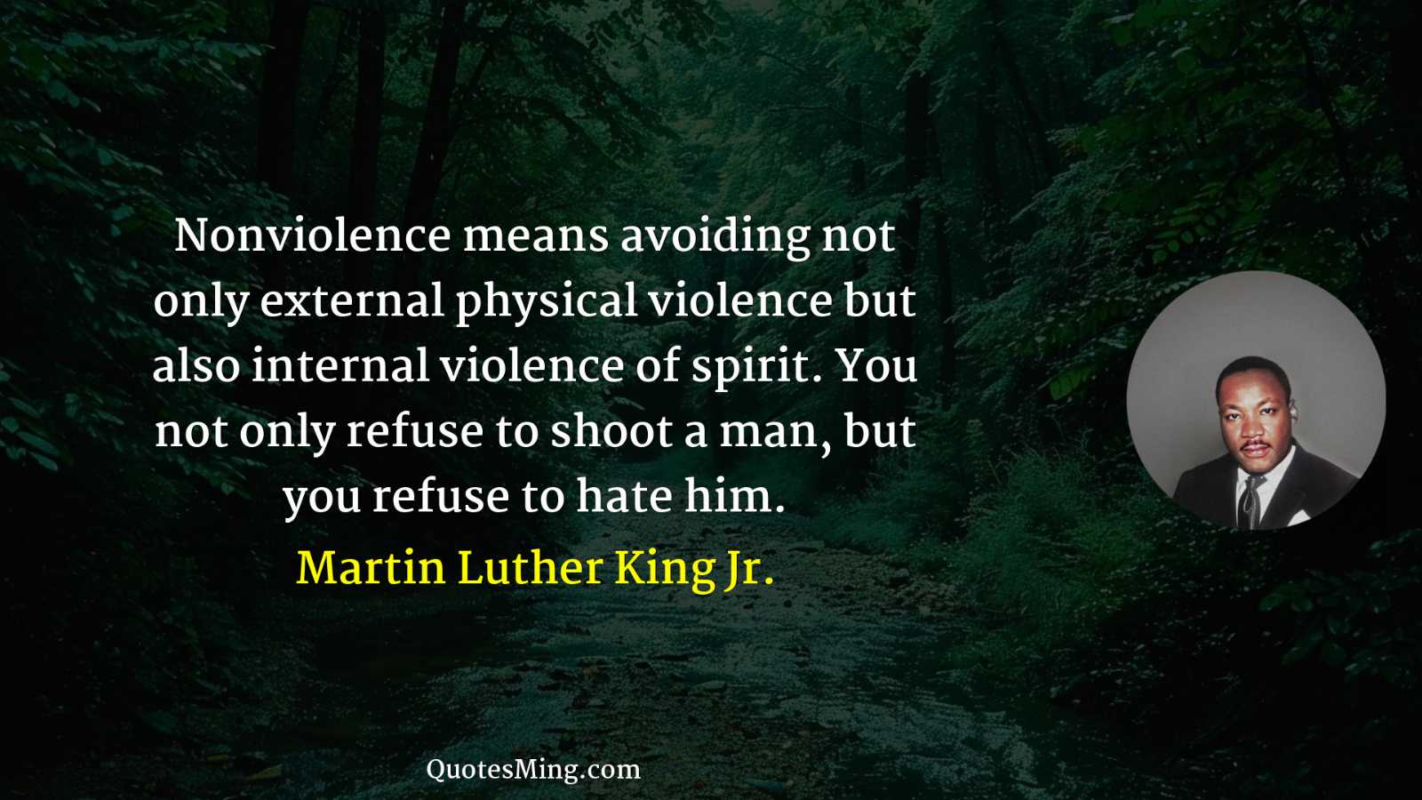 Nonviolence means avoiding not only external physical violence but also