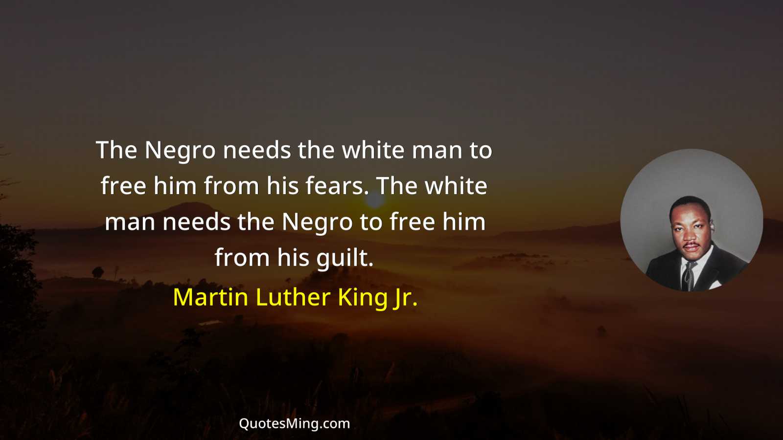 The Negro needs the white man to free him from