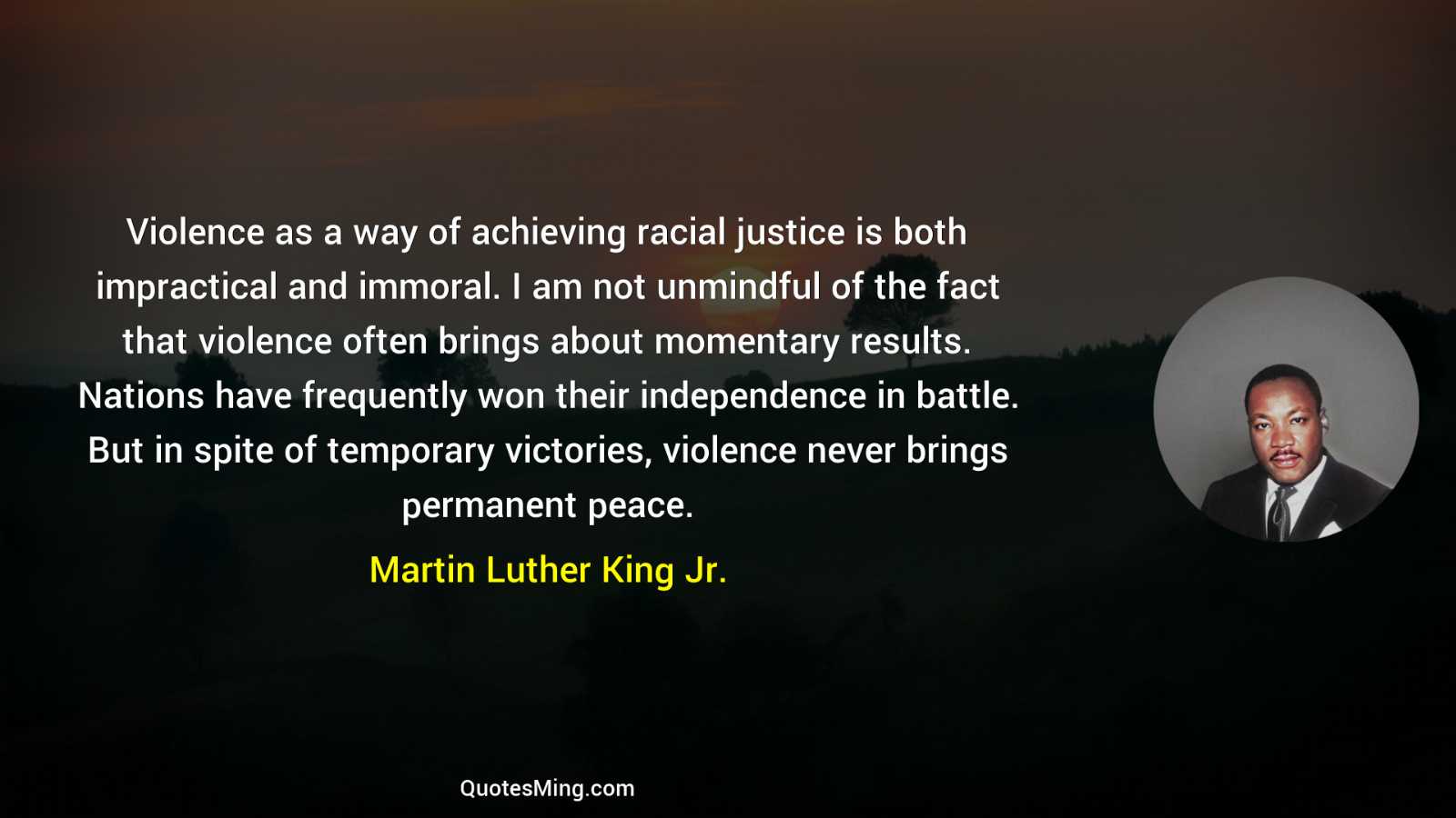 Violence as a way of achieving racial justice is both