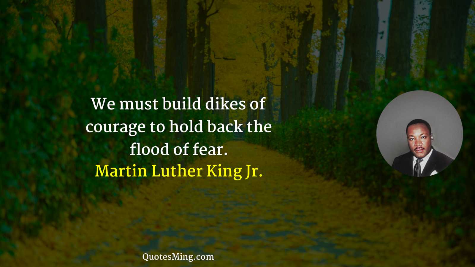 We must build dikes of courage to hold back the