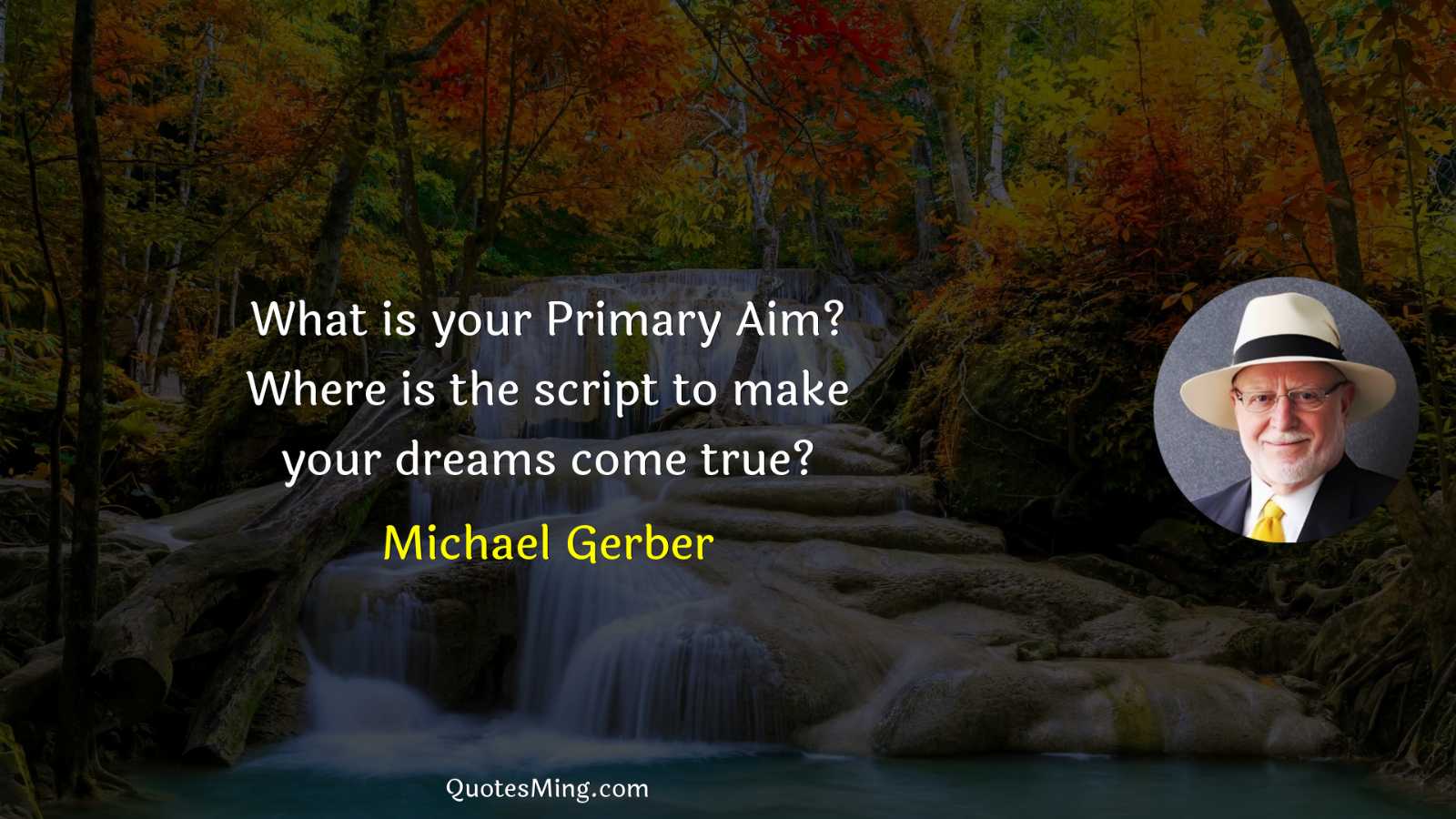 What is your Primary Aim? Where is the script to