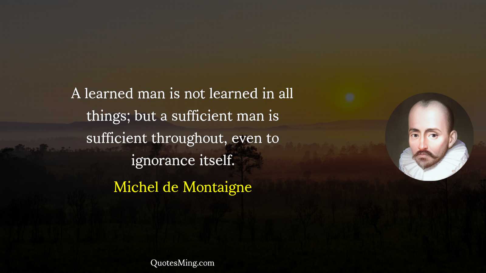 A learned man is not learned in all things; but