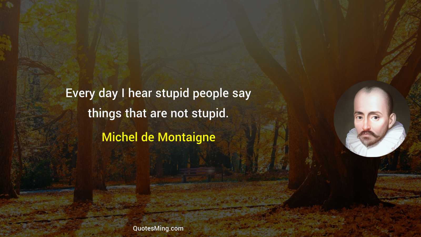 Every day I hear stupid people say things that are