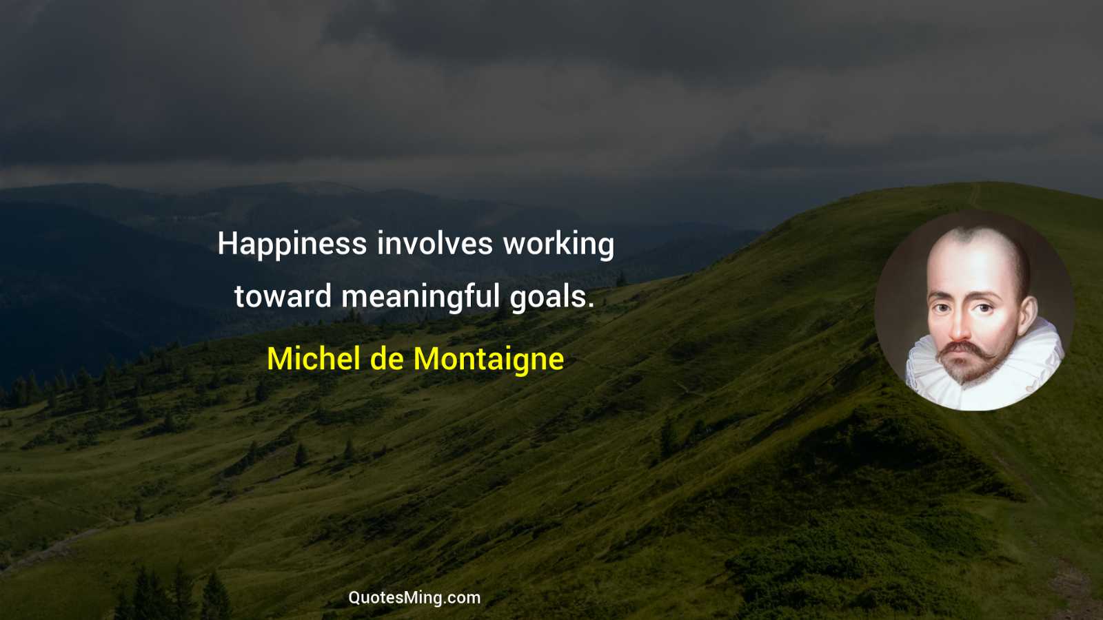 Happiness involves working toward meaningful goals