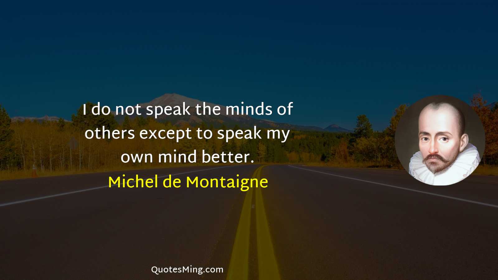 I do not speak the minds of others except to