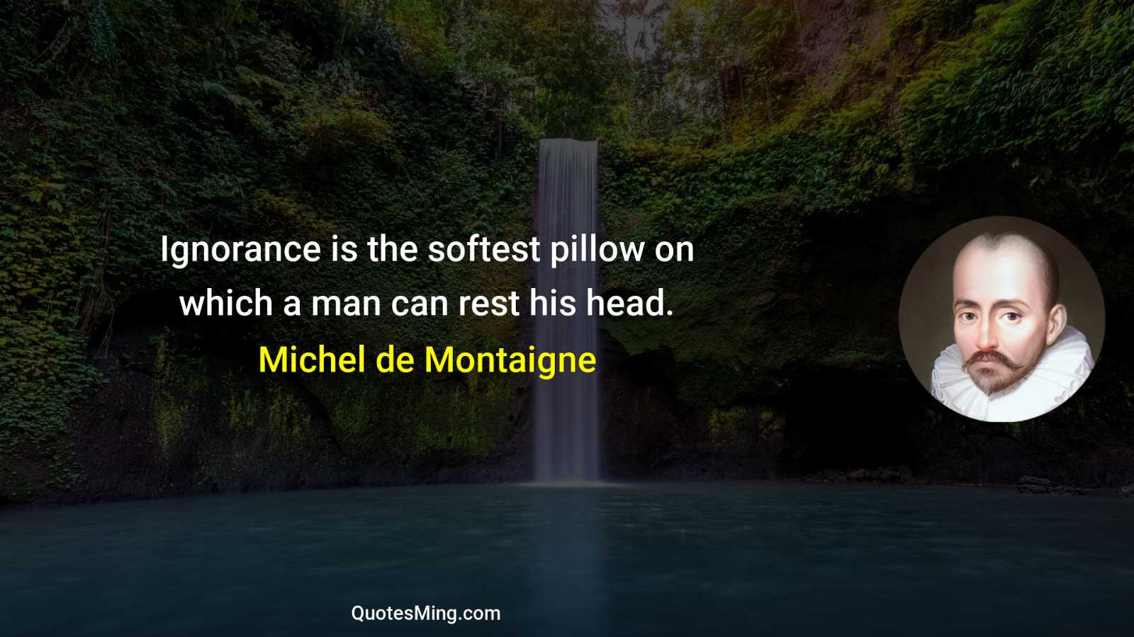 Ignorance is the softest pillow on which a man can