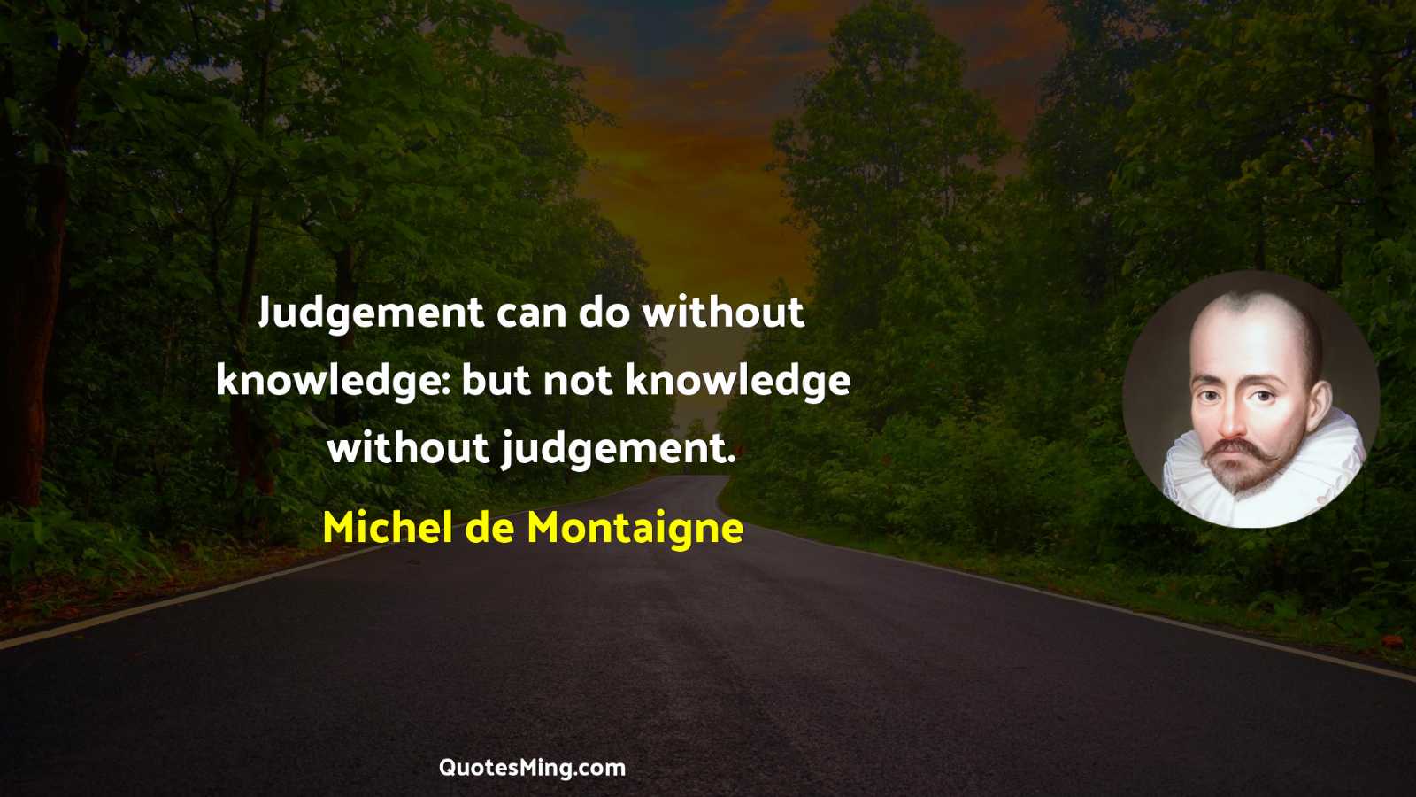 Judgement can do without knowledge: but not knowledge without judgement