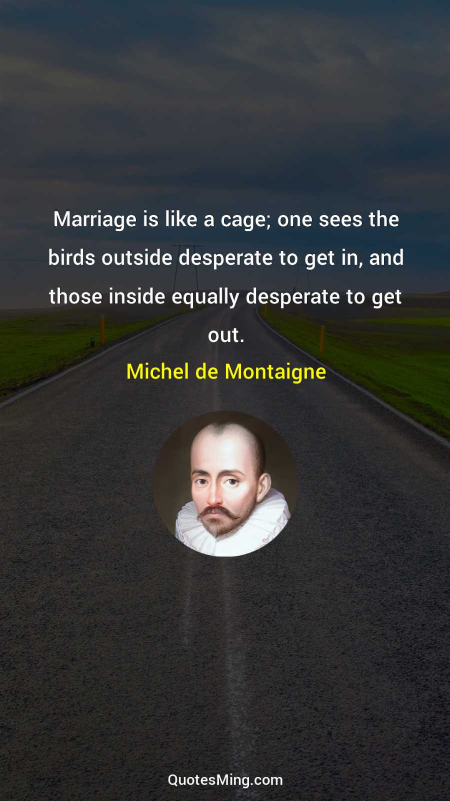 Marriage is like a cage; one sees the birds outside