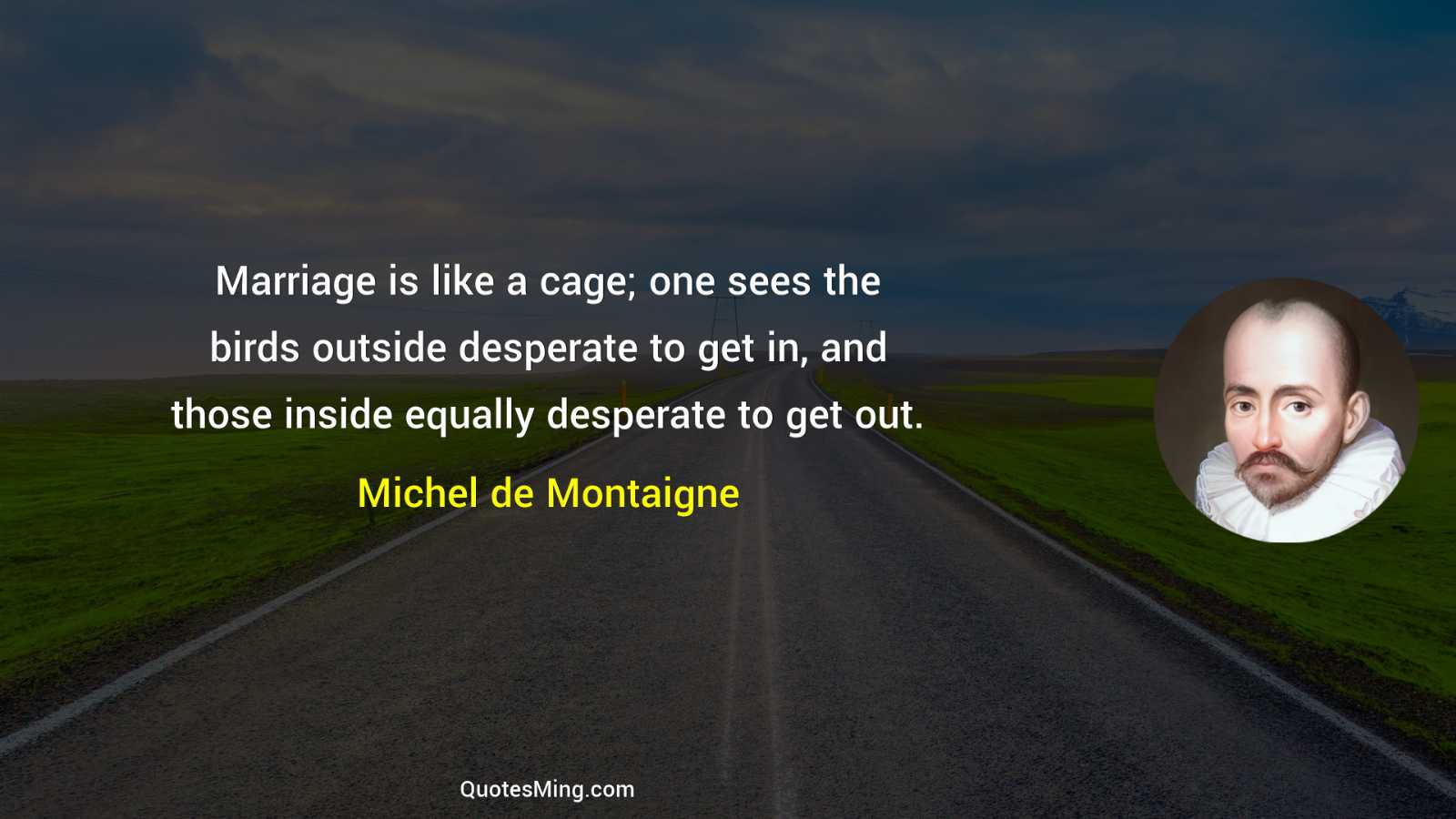 Marriage is like a cage; one sees the birds outside