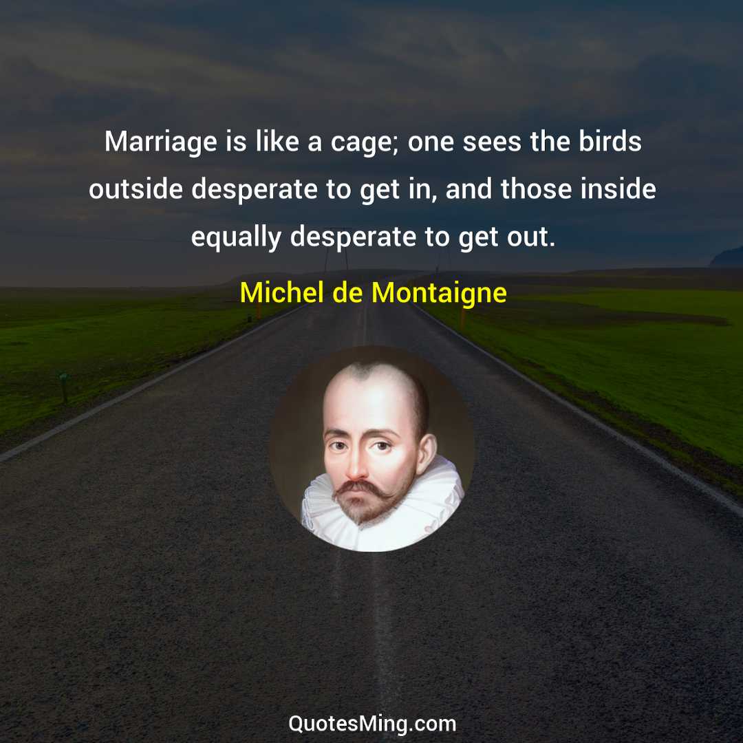 Marriage is like a cage; one sees the birds outside