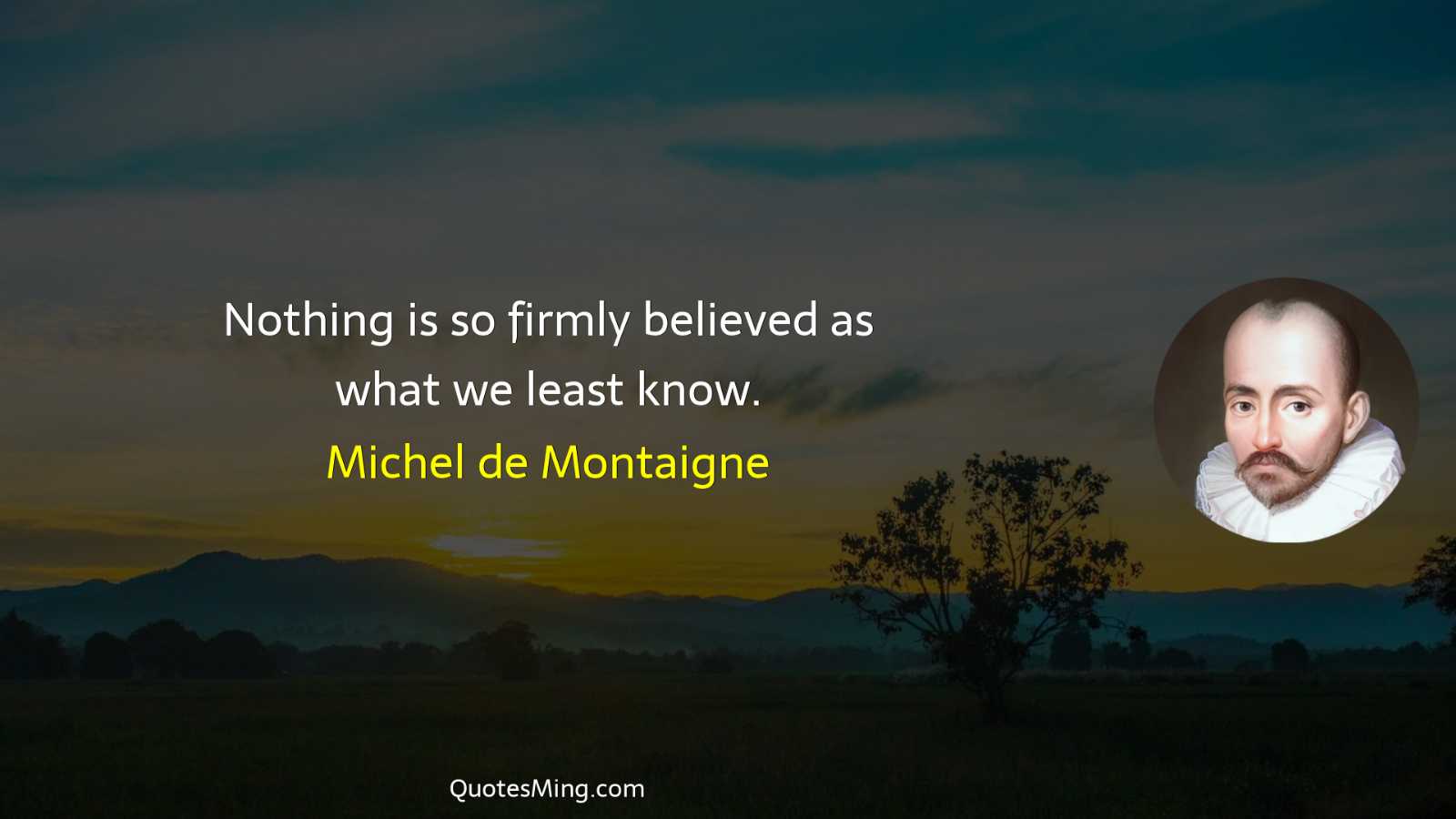 Nothing is so firmly believed as what we least know