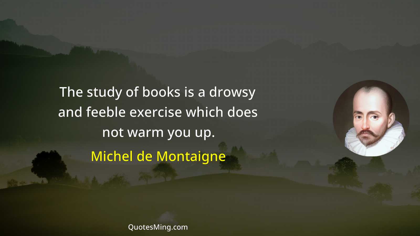 The study of books is a drowsy and feeble exercise