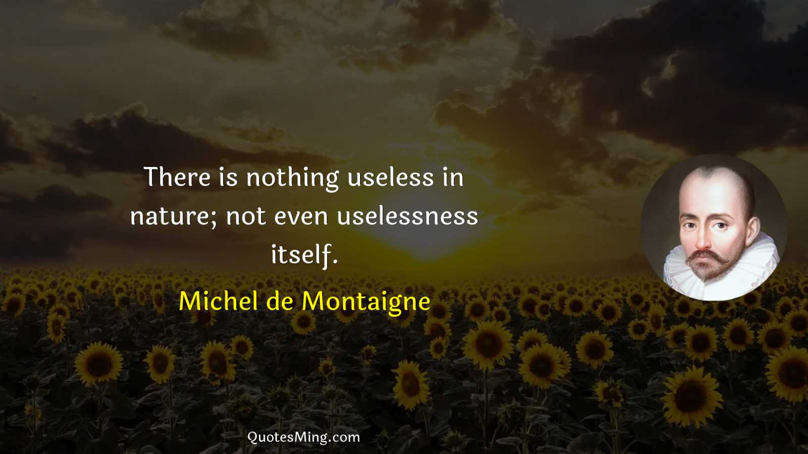 There is nothing useless in nature; not even uselessness itself