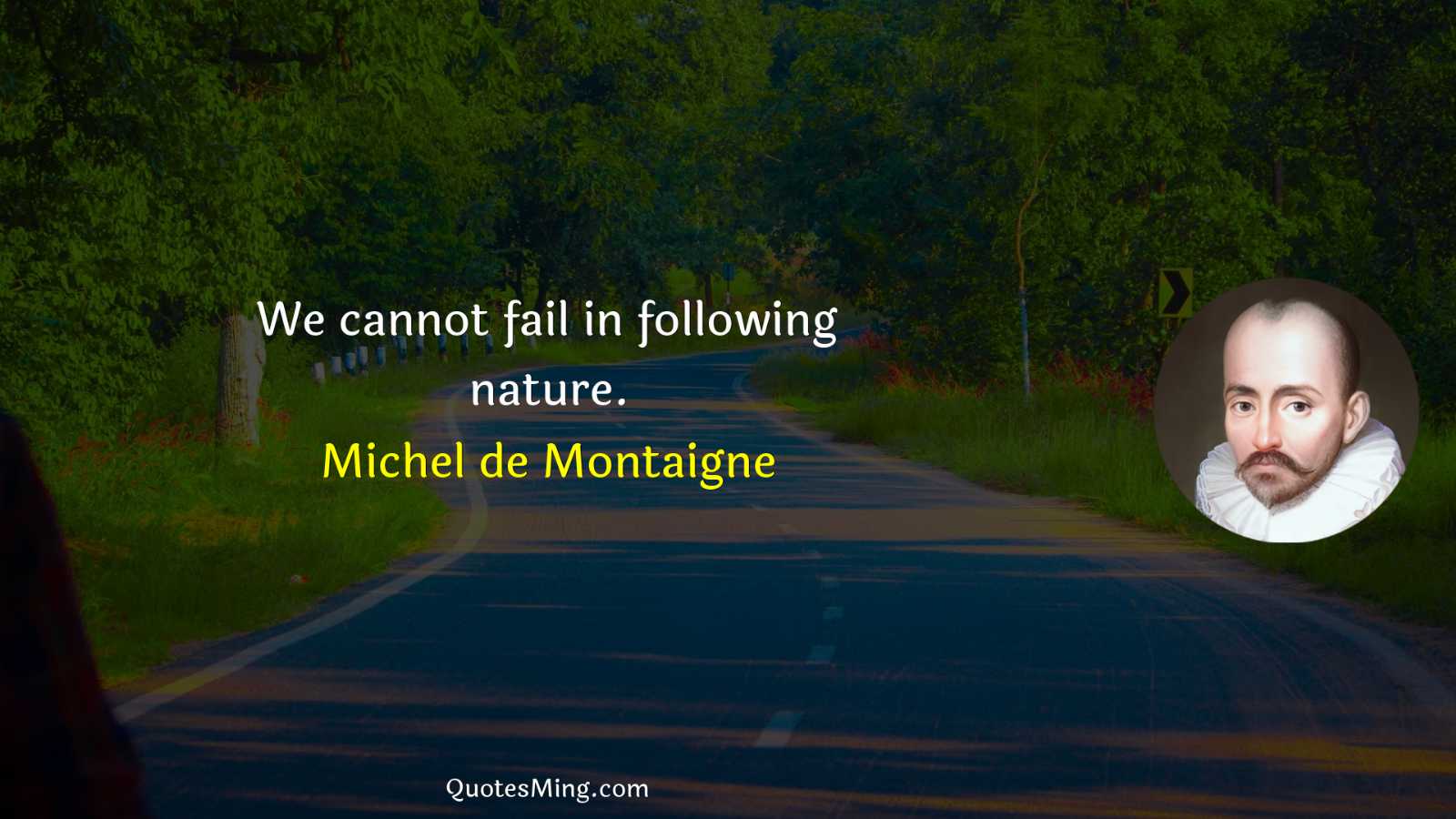 We cannot fail in following nature