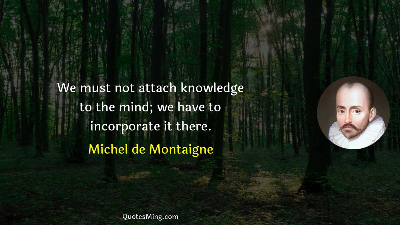 We must not attach knowledge to the mind; we have