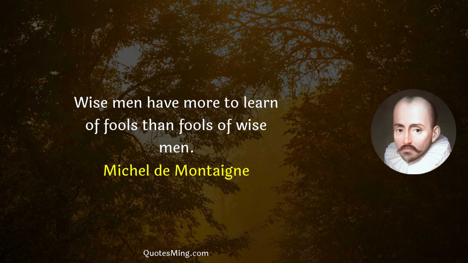 Wise men have more to learn of fools than fools