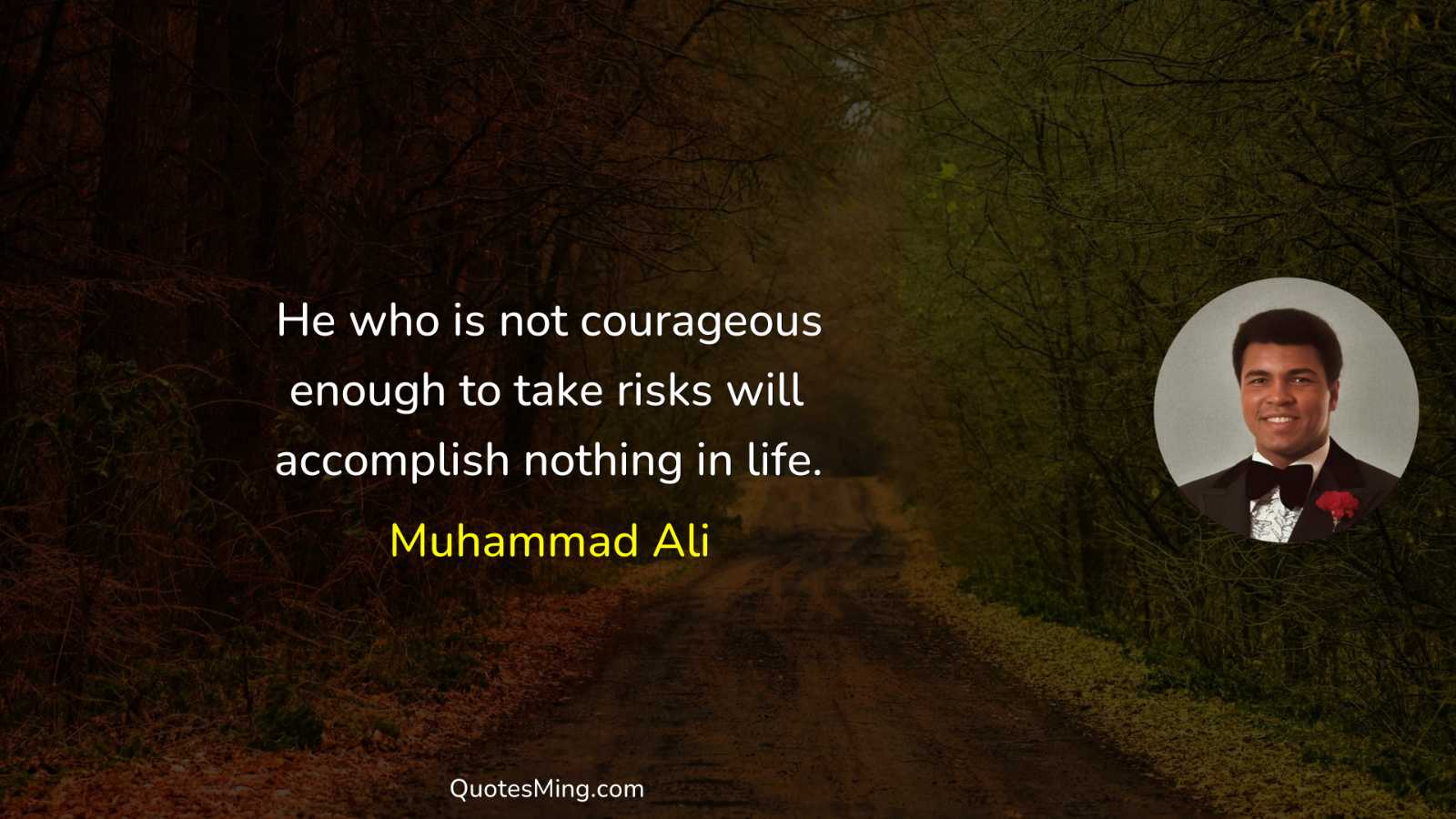 He who is not courageous enough to take risks will