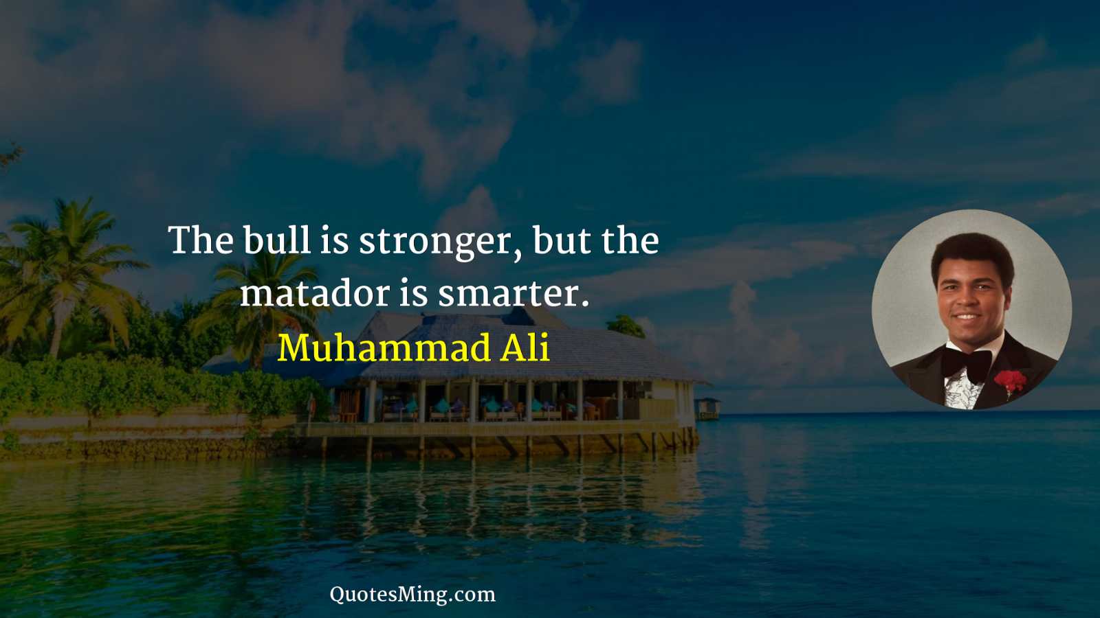 The bull is stronger but the matador is smarter