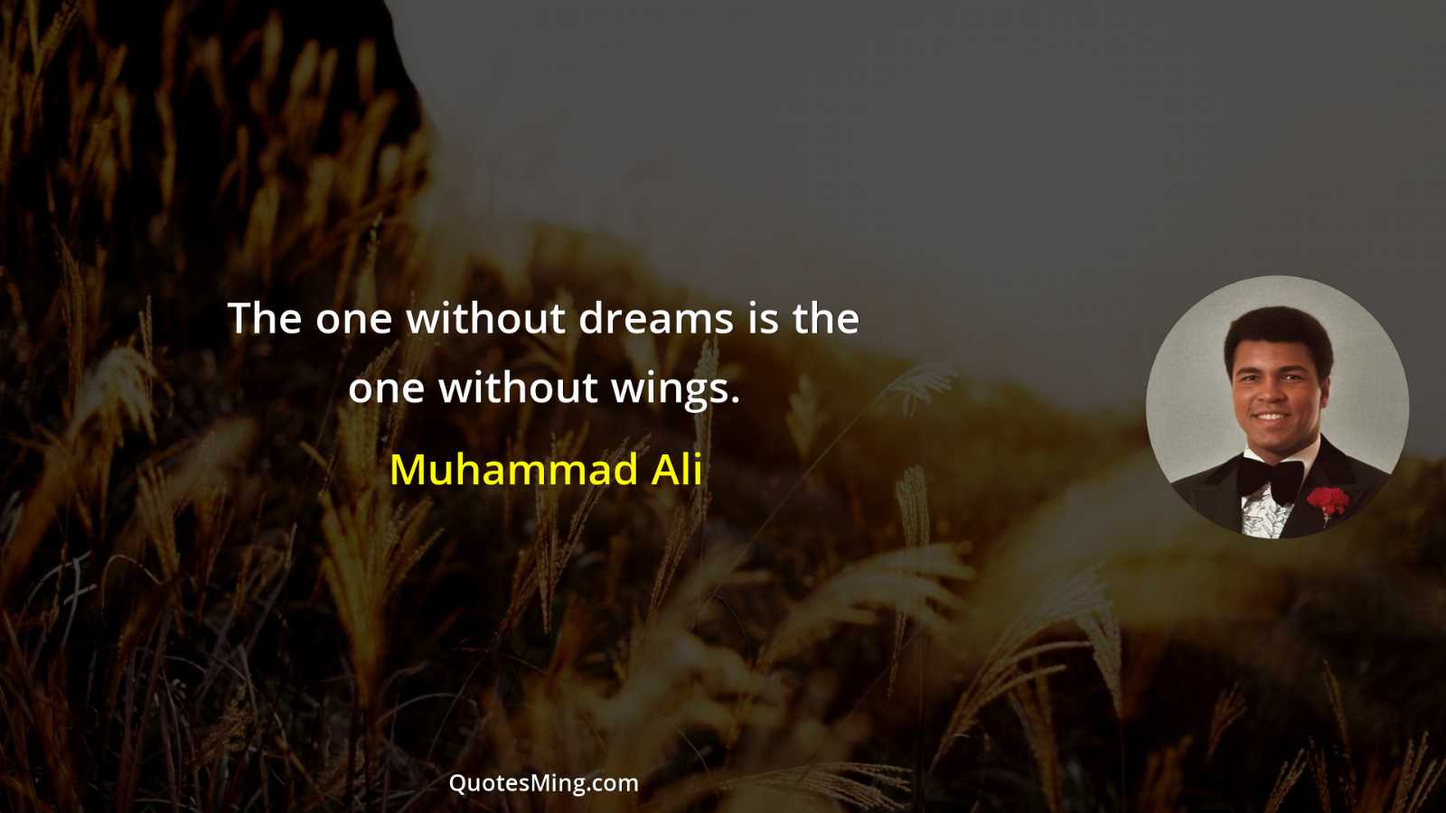 The one without dreams is the one without wings