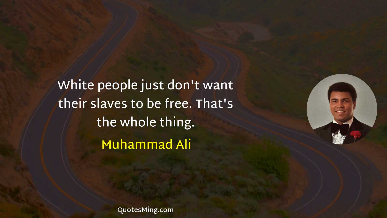 White people just don't want their slaves to be free