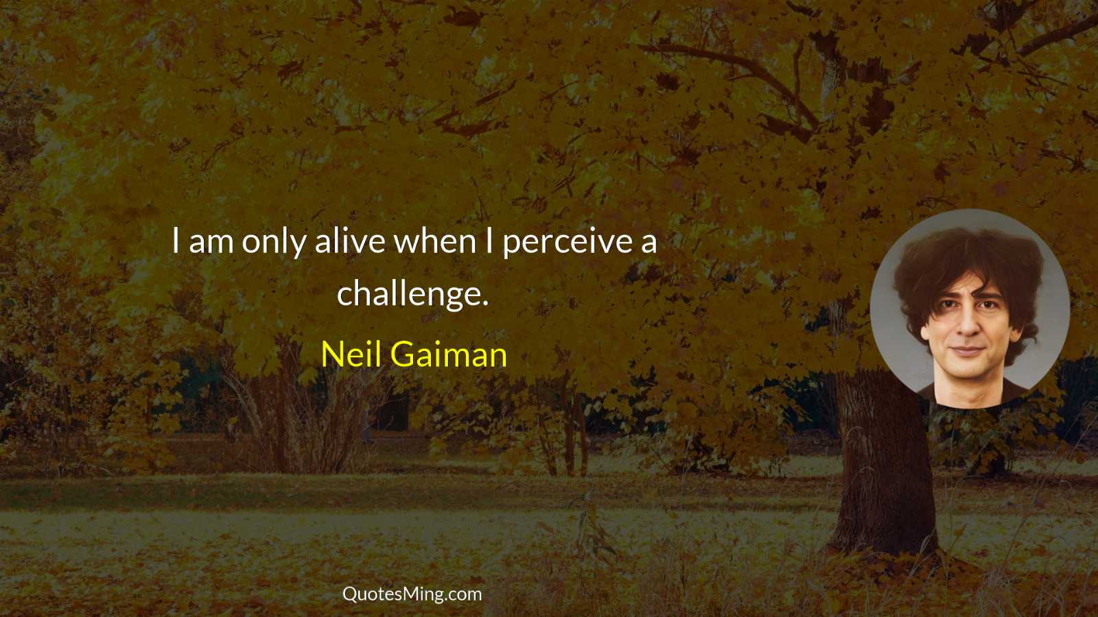 I am only alive when I perceive a challenge